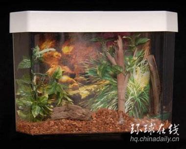 ���B�~���RͰ�lԡ����Ȥ