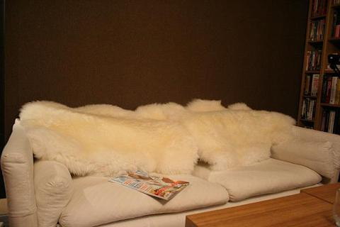 羊毛可用醋清潔頑固污垢