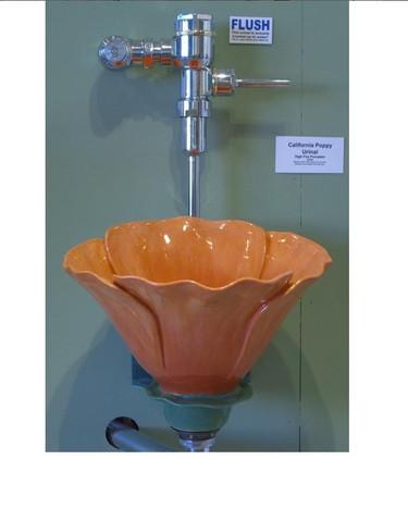 Ư�����ص�WCϴ�ֳ�