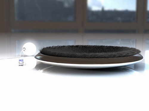 ���͹֮��ĳ��F(xi��n)�����x����