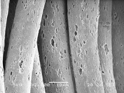 ��̿�w�S��ʮһ���o�h�����lʿ