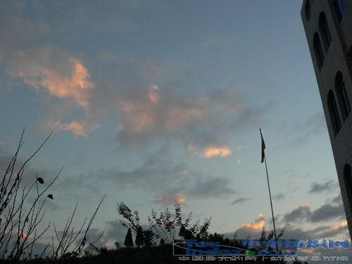 艾萊依彩虹計劃系列報道之五