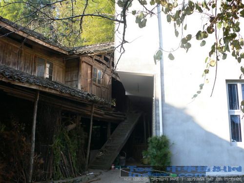 艾萊依彩虹計劃系列報道之五