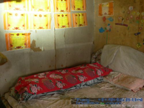 艾萊依彩虹計劃系列報道之五