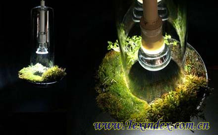 “綠光”植物空氣清凈器