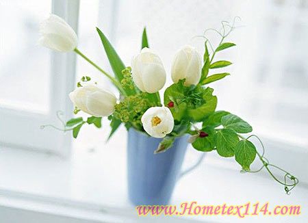 10款奇趣產品改變家居生活