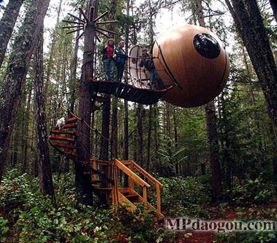 ������˼��(chu��ng)�����w�Ƅӷ���