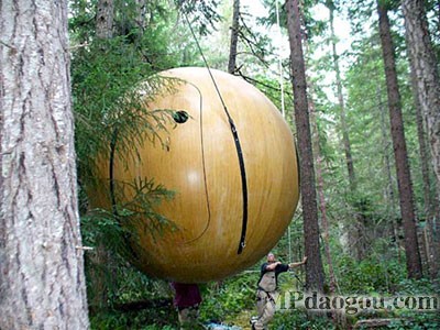 ������˼�������w�Ƅӷ���