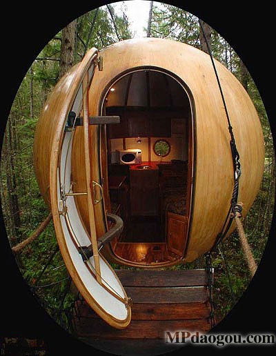 ������˼�������w�Ƅӷ���