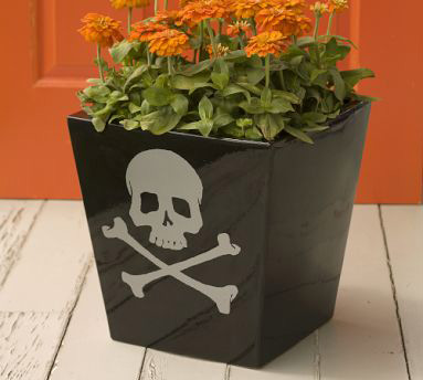 ��wጷ��fʥ���ֲ��