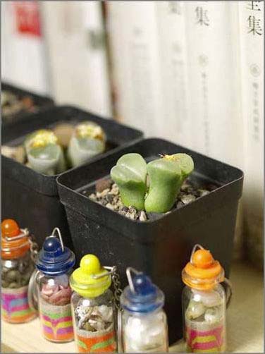 誘人小石子美化無(wú)限精彩家居