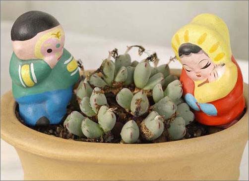 誘人小石子美化無限精彩家居