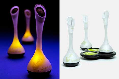 ���f�����_�����[�r������