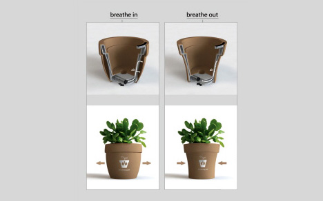 會“呼吸”的花盆創(chuàng)意色彩