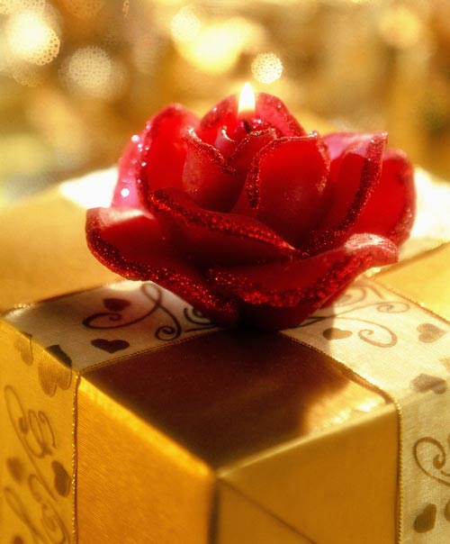 �T���cȼ�������˹���һ��