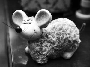 鼠年給家里添個“鼠來寶”