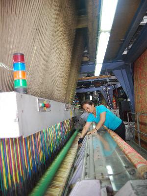 開利地毯項目通過火炬計劃