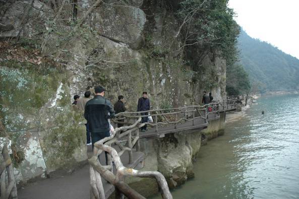 仙合家紡組織三月踏青活動