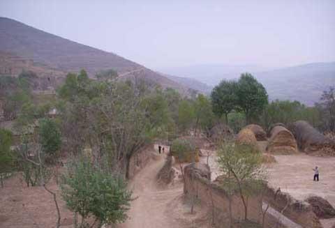 靜寧地毯加工實現規模發展