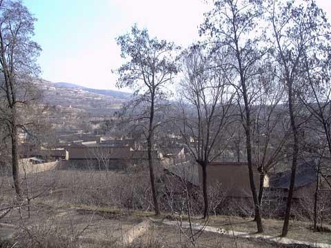 靜寧地毯加工實現(xiàn)規(guī)模發(fā)展