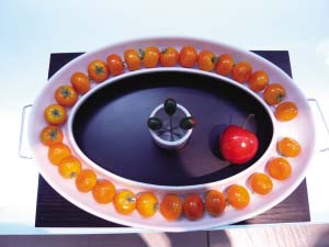 為水果精靈們淘個美麗新窩