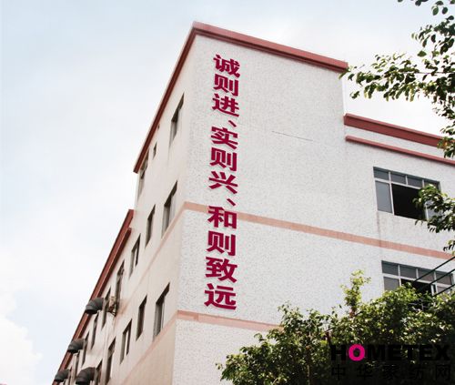 夢麗莎:實力翱翔無限未來