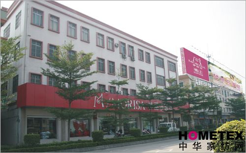 夢麗莎:實(shí)力翱翔無限未來