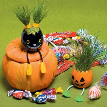 �����ּҾ�׌��옷�o߅