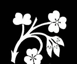 DIY家居飾品渲染溫婉氛圍