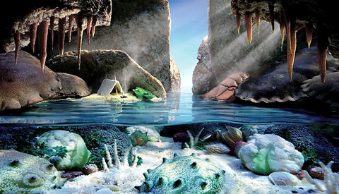 �߲�ʳƷ�ĳ��@�Gˇ�g����