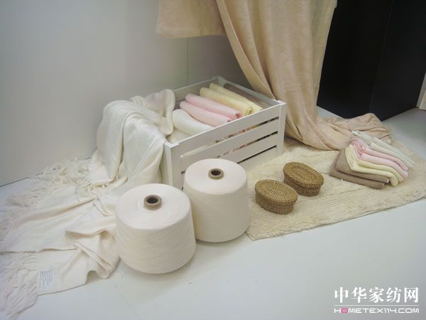 �����Ҽ����2009���m�˸�չ