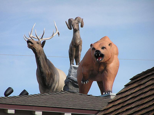 �廨���T������b�