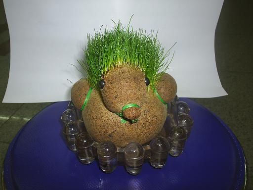 �r�Є�(chu��ng)��ɐۭh(hu��n)�����^����