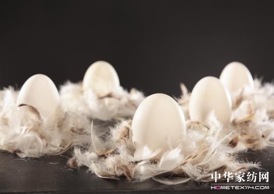 �Ї���q���߮a�I�lչ�ߌ�Փ�����_