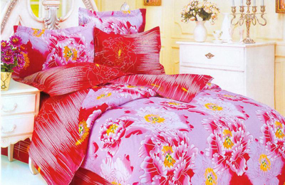 ʥ���R���u��չʾ