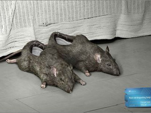 ���ס���](m��i)����֮BT��Ь