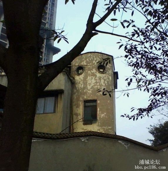 網(wǎng)友爆最雷人的“囧”樓房