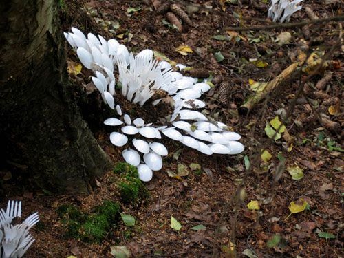 һ���Բ;�ƴ���e��ˇ�g