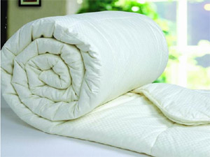 全新認識各式各樣棉被