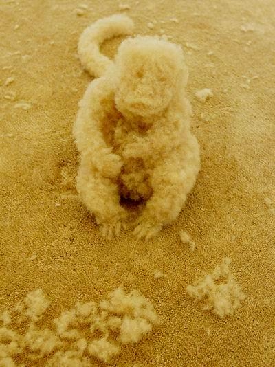 巴西藝術(shù)家做地毯雕塑絨毛小猴