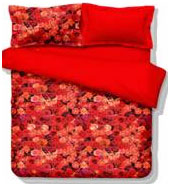 新年禮物——多喜愛情人節心愛之禮