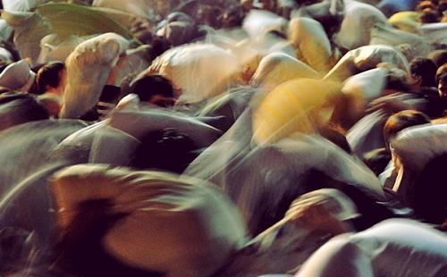 舊金山情人節(jié)上演枕頭大戰(zhàn)