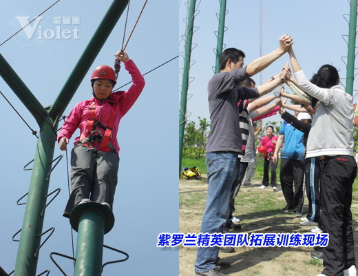 紫羅蘭精英團隊拓展訓練結束