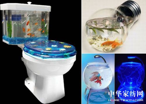 超乎你想象的創(chuàng)意魚缸