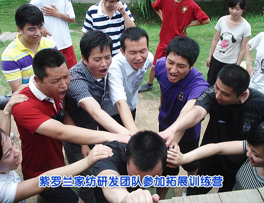 紫羅蘭研發(fā)團(tuán)隊(duì)參加拓展訓(xùn)練營
