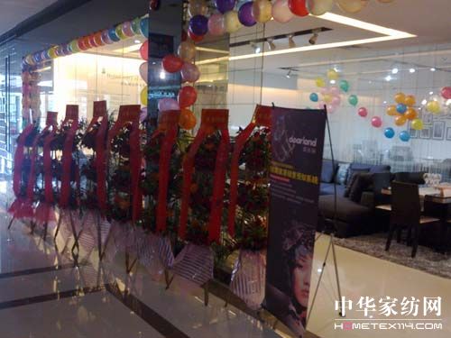 �V�|���h�����̌��u���_�I