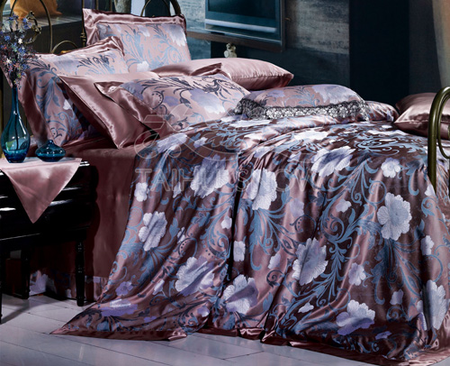 ̫��ѩ���ŵ��c�r�еĽY��