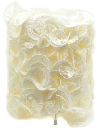 家居設計中超好看的新奇物件