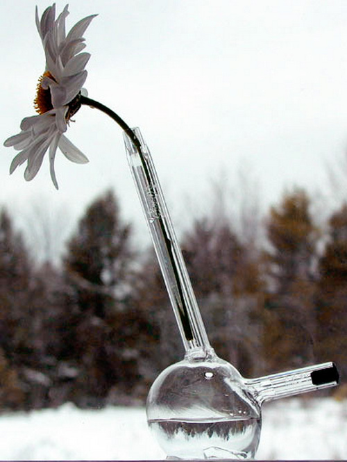 帶有禪意風格的唯美花瓶