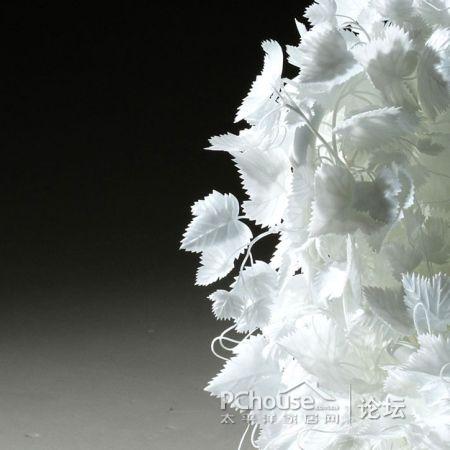 ���׵Ę��~�����Є��⵫�ܹª�